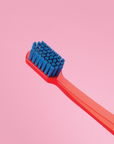 BOX - 36 x CS 3960 Supersoft Toothbrush & Sleeves