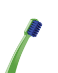 BOX - 36 x SMART Toothbrush & Sleeves