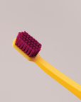 BLISTER - CS 12460 Velvet Toothbrush